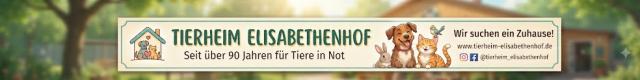 Tierheim Elisabethenhof