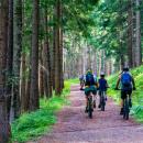 Gefuehrte E-Bike-Erlebnistour "Schafe, Kaese und Roemer"