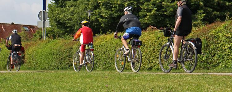 Gefuehrte E-Bike Erlebnistour "Baeche, Weiher und Naturschwimmbad"
