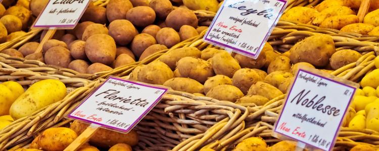 Herbstmarkt Nidda