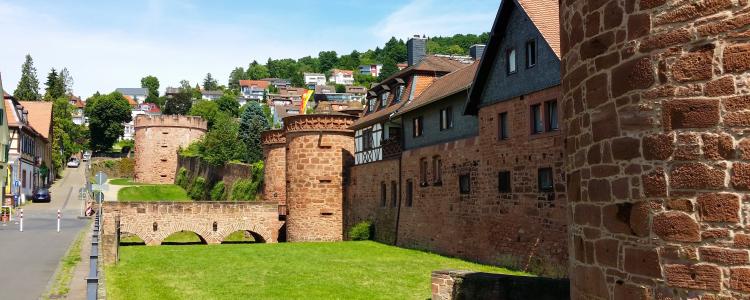 22. Landpartie auf Schloss Buedingen 2026