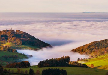 Kosmos Schwarzwald trifft mitten ins Herz