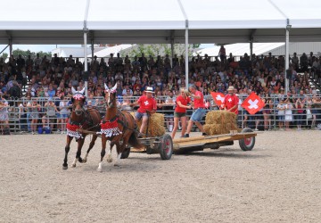 Ungarische Leidenschaft auf der eurocheval