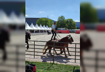 Mit Begeisterung endlich wieder zur Eurocheval
