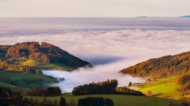 Kosmos Schwarzwald trifft mitten ins Herz