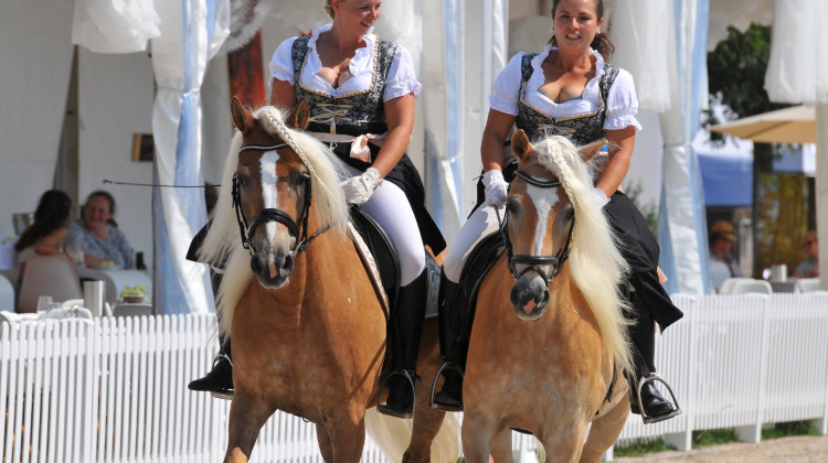 Endlich wieder Eurocheval f&uuml;hlen