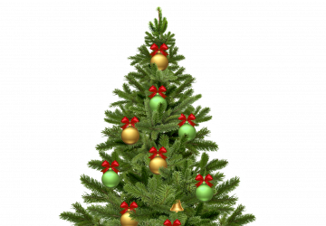 Sch&ouml;ne Weihnachtszeit ...