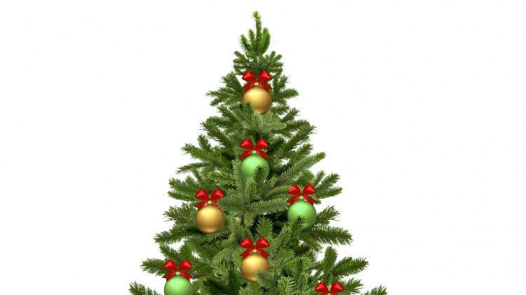 Sch&ouml;ne Weihnachtszeit ...