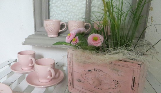 Harmonie in rosa
