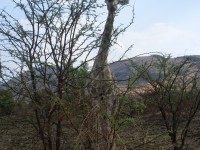 Neuigkeiten aus Malawi