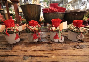 Weihnachtsdekoration und Gestecke