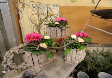 Der Fr&uuml;hling zieht ein im Blumen Kiesel