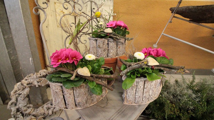 Der Fr&uuml;hling zieht ein im Blumen Kiesel