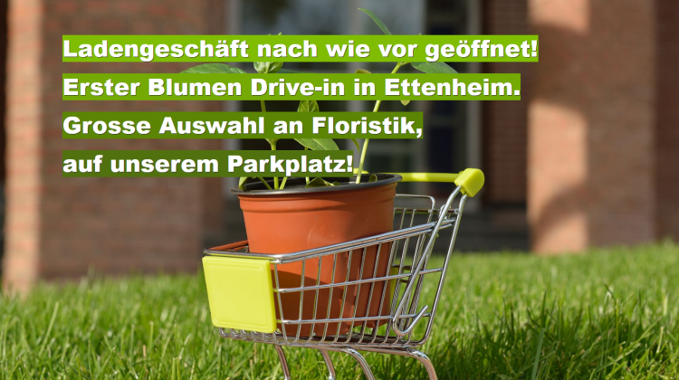 Erster Blumen Drive-In in Ettenheim!
