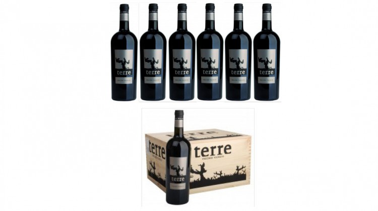 Terre &ndash; Vecchio Vigneto - Primitivo von alten Rebst&ouml;cken