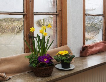 Holzfenster mit und ohne Dichtungen
