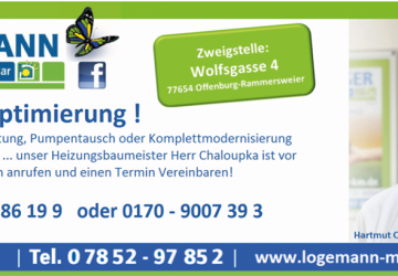 Heizungsoptimierung vor Ort...?