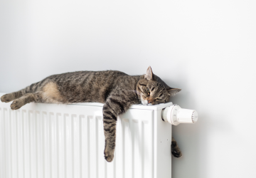 Warm durch den Winter: Heizl&ouml;sungen von G&uuml;nther Energie+Service