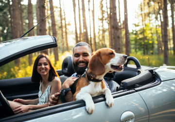 Reisen in der Ortenau: Perfekte Vorbereitung f&uuml;r Ihren Fr&uuml;hlings-Roadtrip