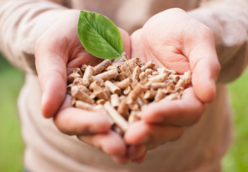 Pellets f&uuml;r die Heizsaison