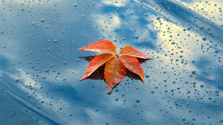 Bl&auml;tterwirbel? Nicht in Ihrer Waschanlage! Tipps f&uuml;r die Autopflege im Herbst bei G&uuml;nther Lahr
