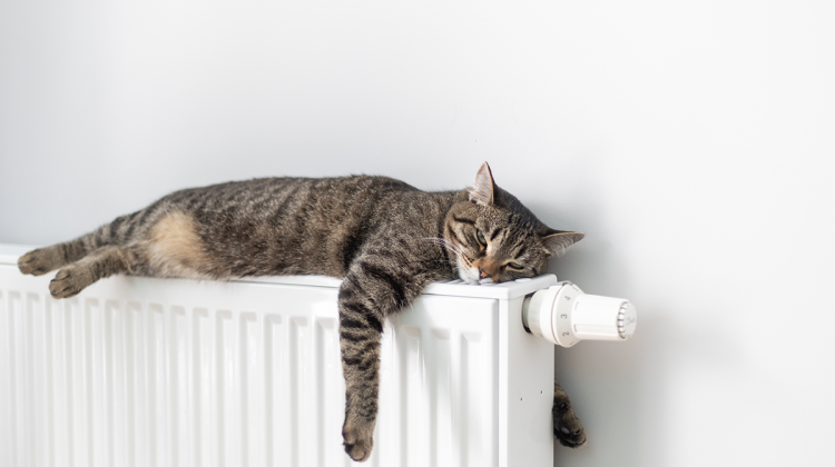 Warm durch den Winter: Heizl&ouml;sungen von G&uuml;nther Energie+Service