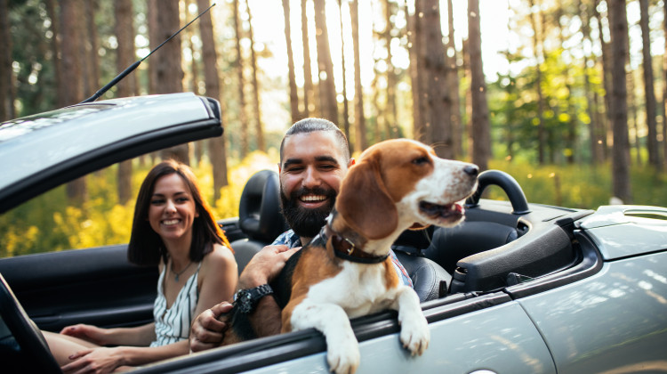 Reisen in der Ortenau: Perfekte Vorbereitung f&uuml;r Ihren Fr&uuml;hlings-Roadtrip