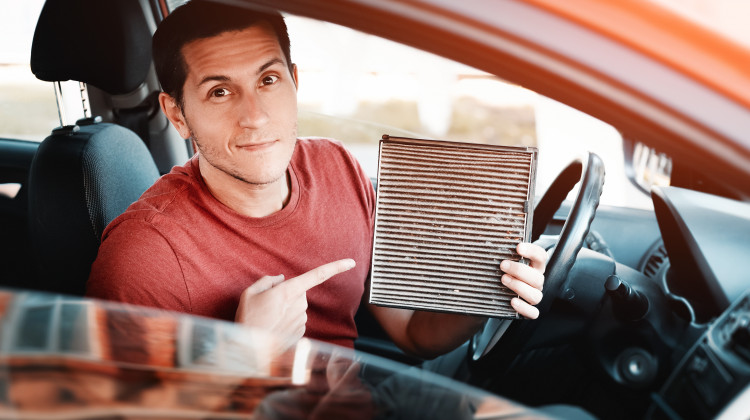 Aufbl&uuml;hen im Fr&uuml;hling: Die beste Autow&auml;sche f&uuml;r die Pollensaison