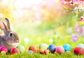 Ostern feiern im Hotel Restaurant Schiff &ndash; Jetzt Ihren Festsaal reservieren!
