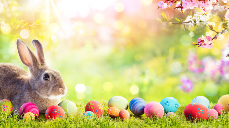 Ostern feiern im Hotel Restaurant Schiff &ndash; Jetzt Ihren Festsaal reservieren!