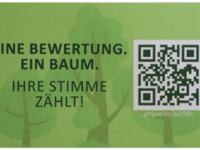 Baum Bewertung